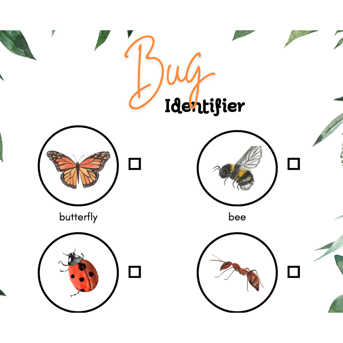 Bug Identifier Scavenger Hunt – Digital Download