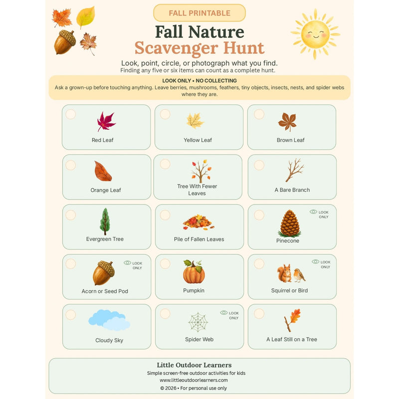 Fall Nature Exploration Free Printable Collection