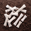 Dinosaur Match and Measure Bones with Activity Cards