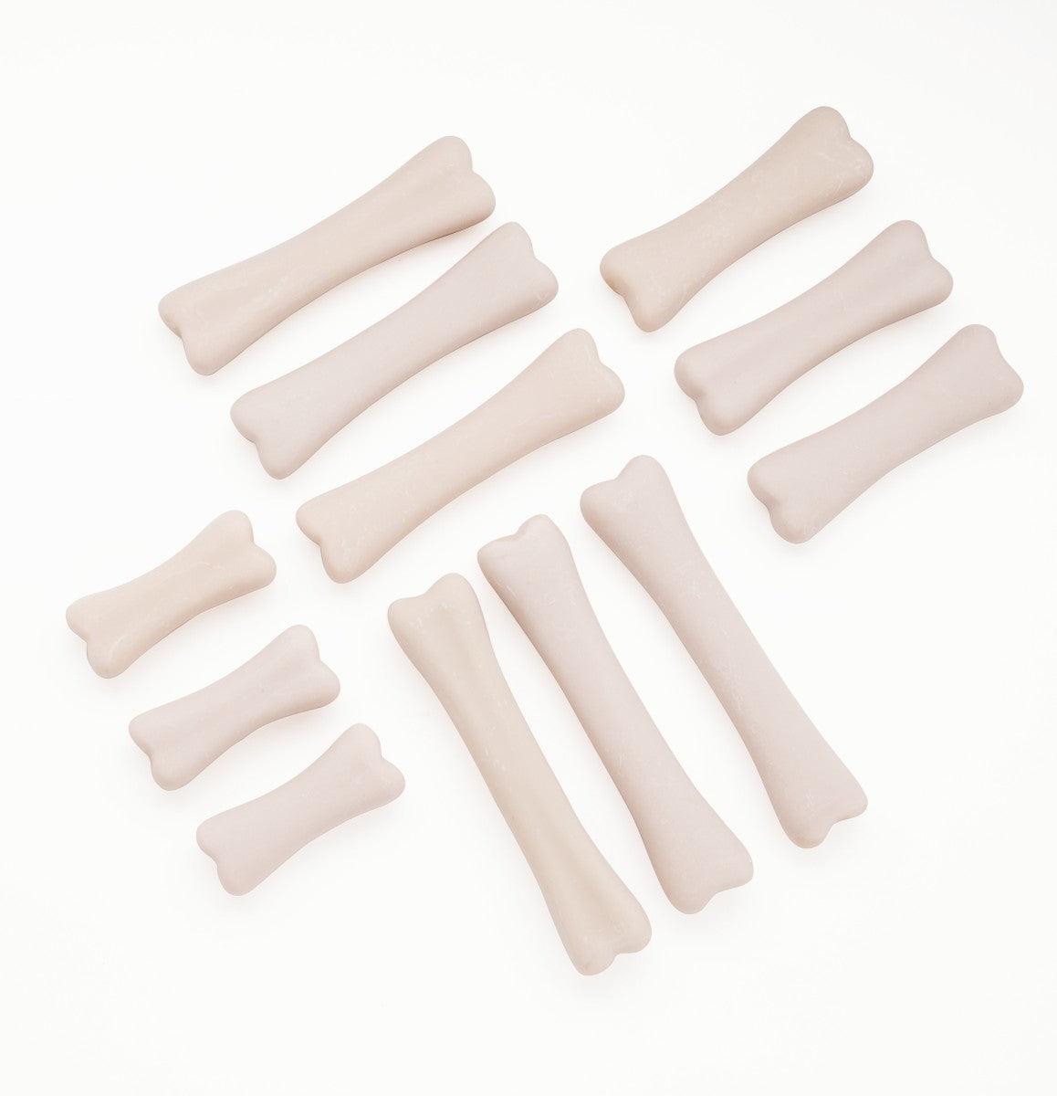 Dinosaur Match and Measure Bones with Activity Cards