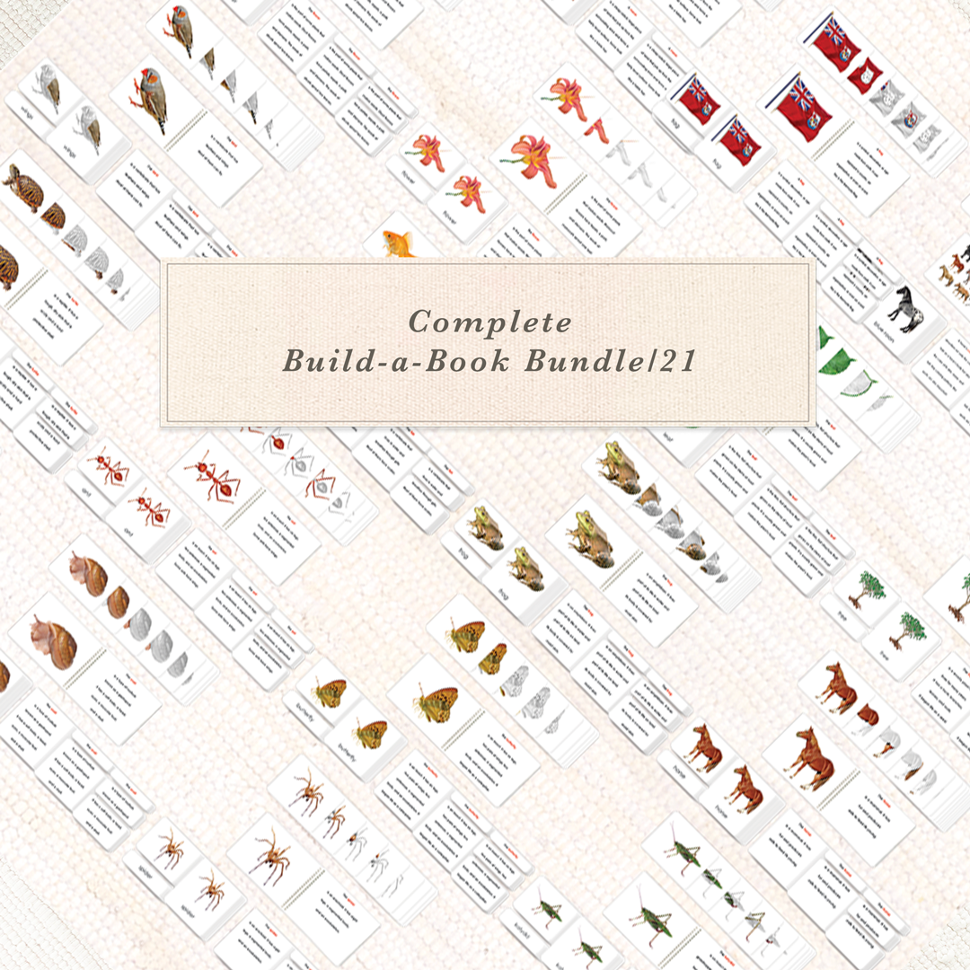 Complete Build-a-Book Bundle/21 by Maitri