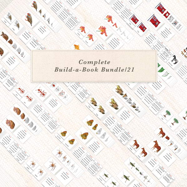 Complete Build-a-Book Bundle/21 by Maitri