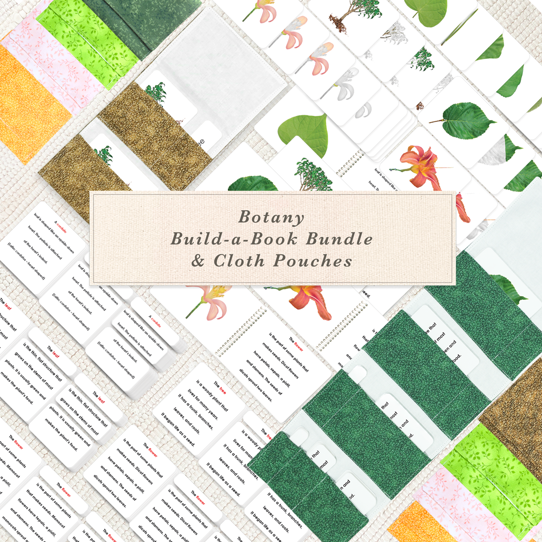 Botany Build-a-Book Bundle by Maitri