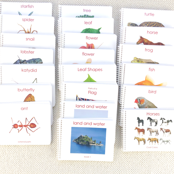 Complete Book Bundle/21 by Maitri