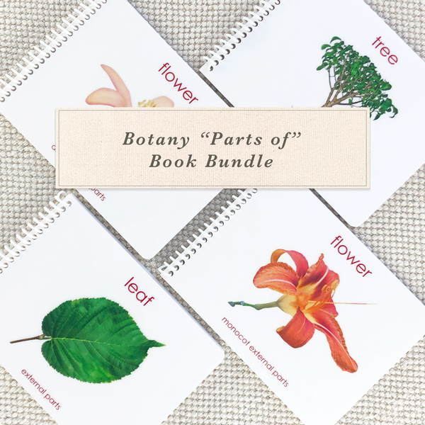 Botany 