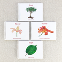 Botany 