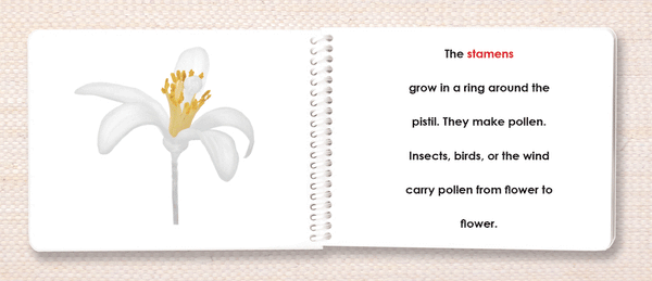 Botany 