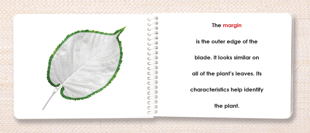Botany "Parts of" Book Bundle by Maitri