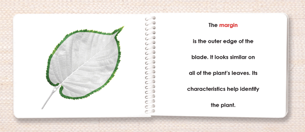 Botany 