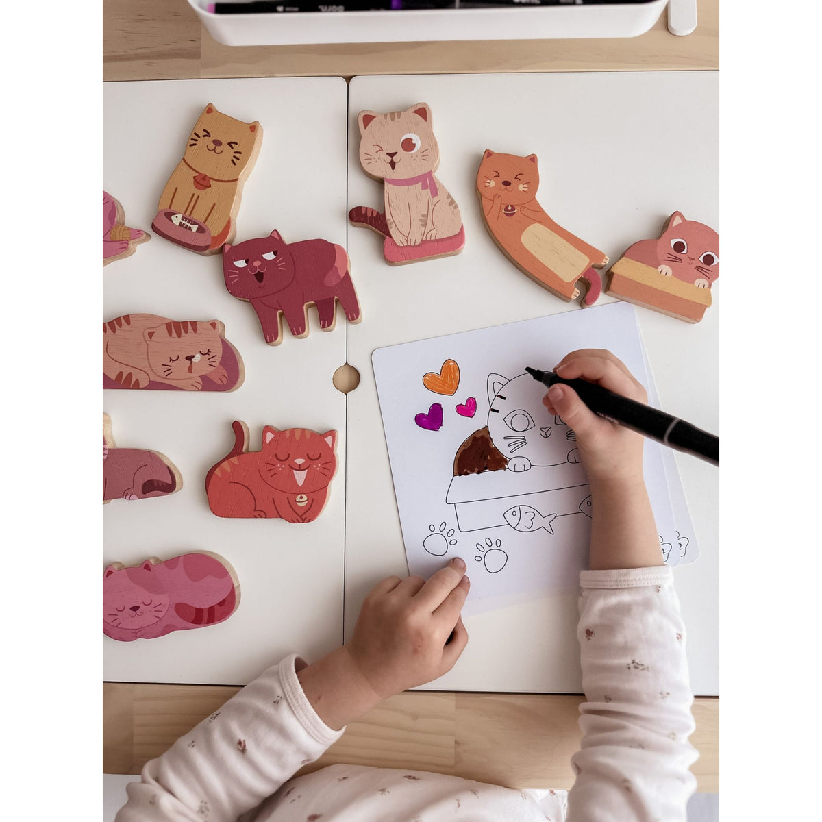 Cat play set & colouring