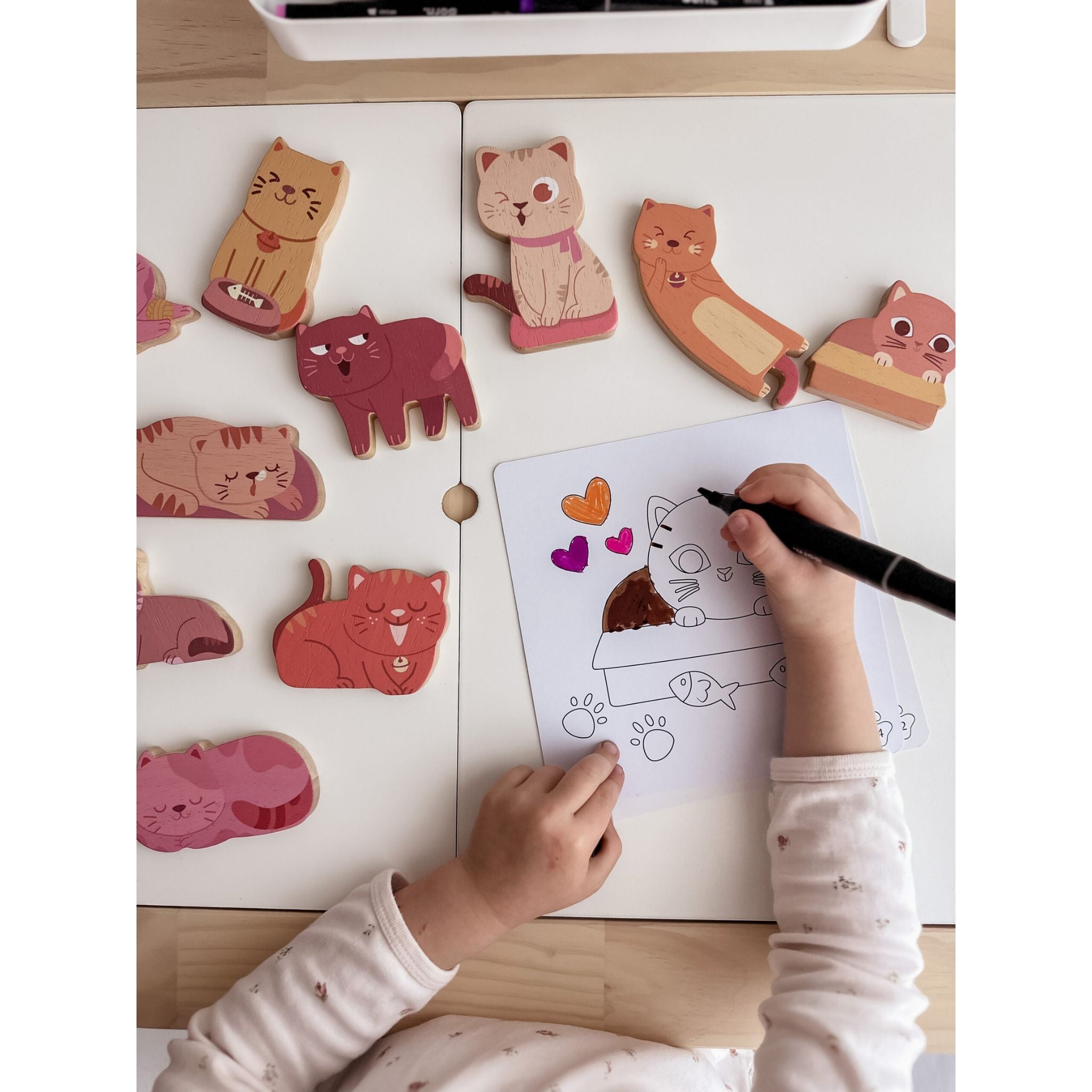 Cat play set & colouring