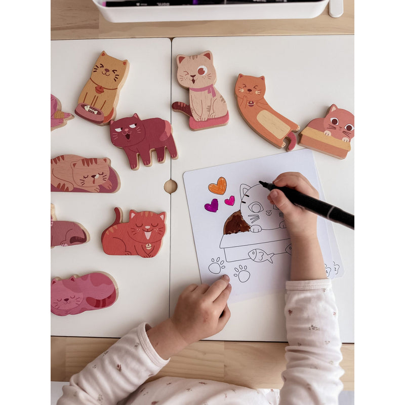 Cat play set & colouring