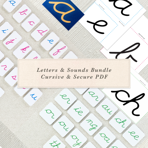 Letters & Sounds Bundle by Maitri