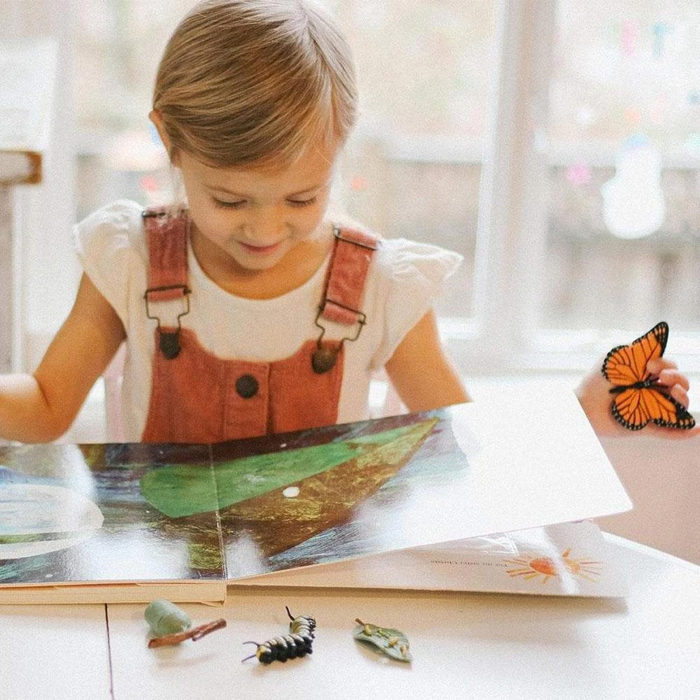 Life Cycle Replicas: Butterfly Stages
