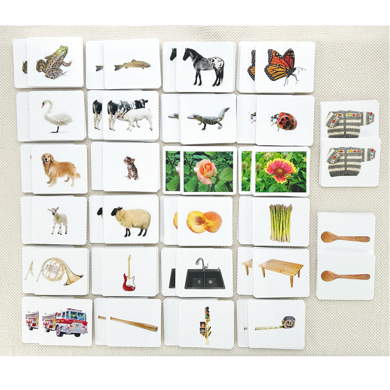 Matching Card Set/26 by Maitri