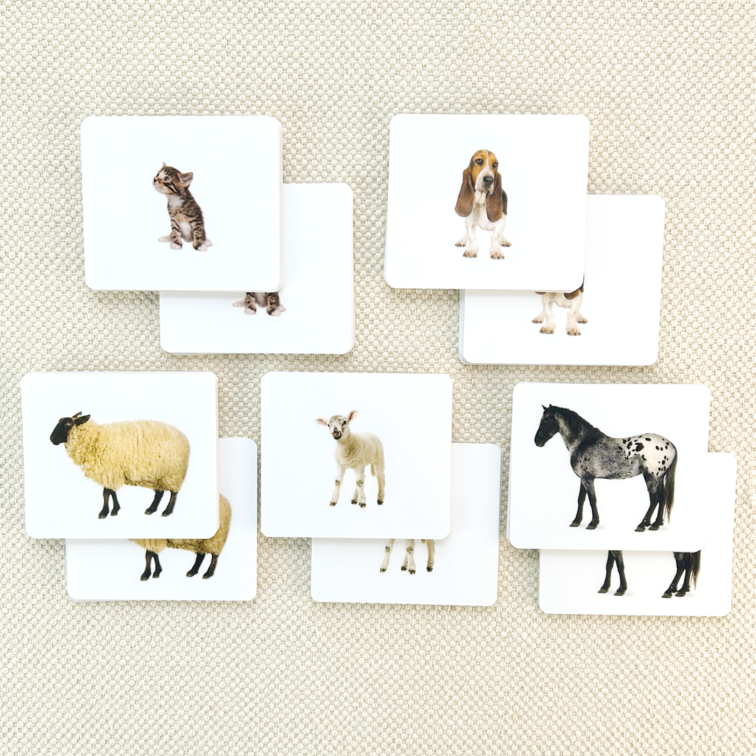 Matching Card Set/26 by Maitri