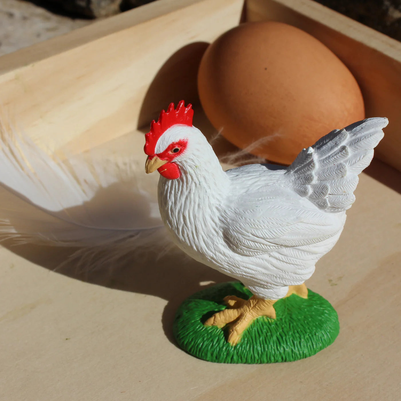 Life Cycle Replicas: Chicken Stages