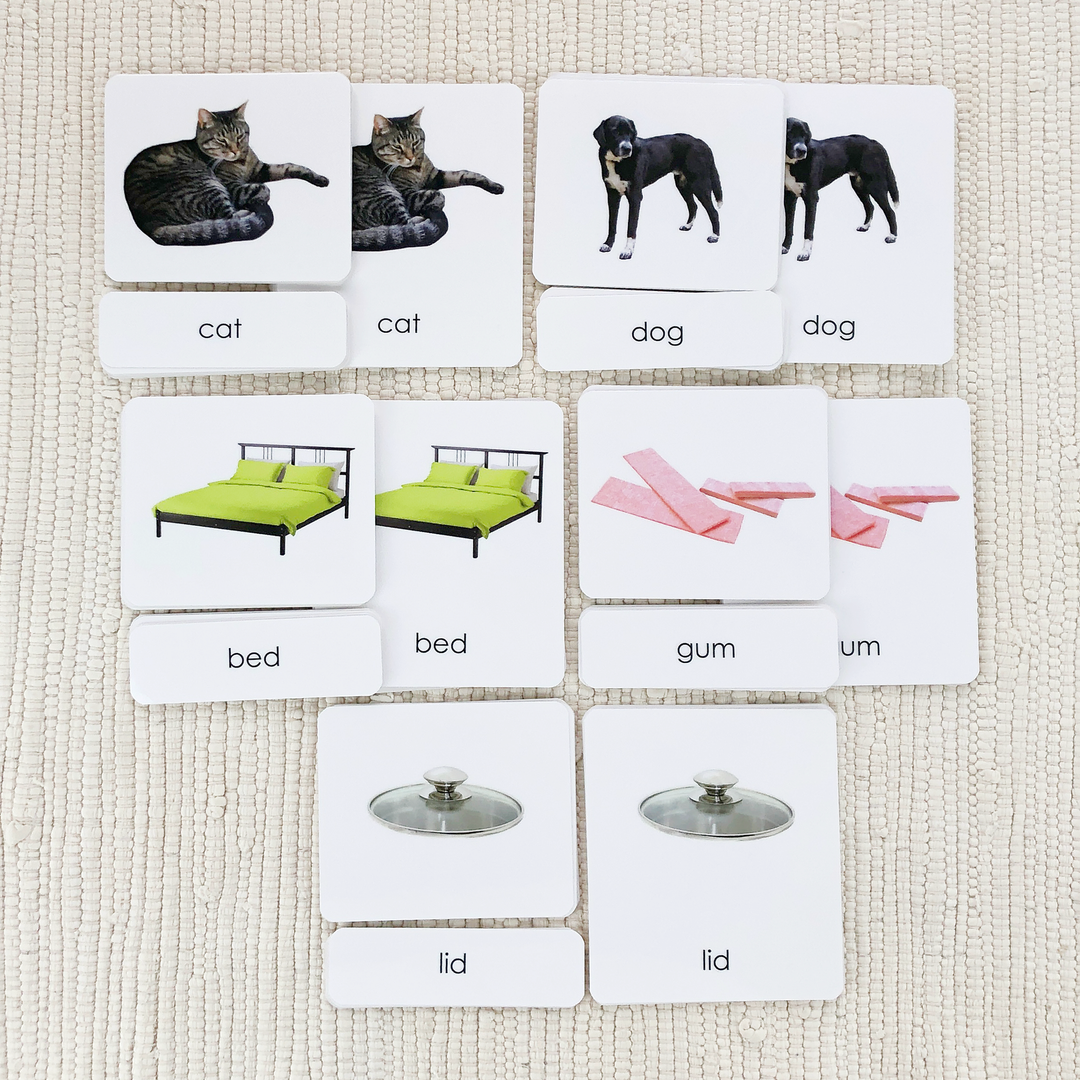 Phonetic Level 1 Set: Simplest Phonetic Words by Maitri