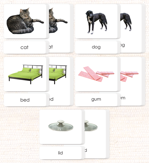 Phonetic Reading Card Set (Complete) by Maitri