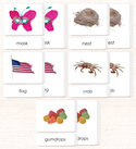 Phonetic Reading Card Set (Complete) by Maitri