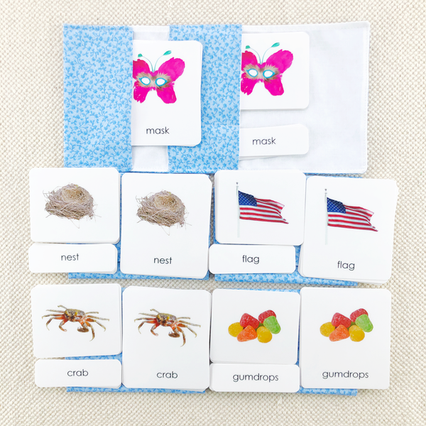 Phonetic Decoding Kit: PreK-2 by Maitri