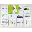 Phonics Reading Bundle by Maitri