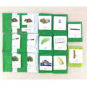 Phonetic Level 3 Set: Key Sound Phonograms by Maitri