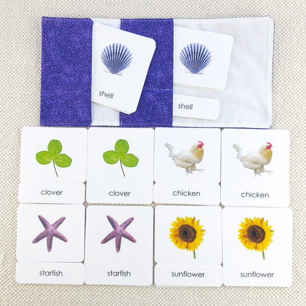 Phonetic Level 4 Set: Challenging Phonetic Words by Maitri