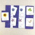 Digraph Decoding Kit by Maitri