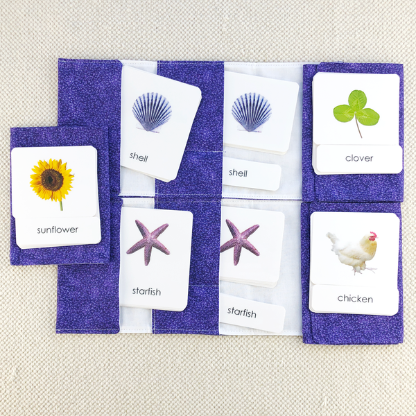 Phonetic Level 4 Set: Challenging Phonetic Words by Maitri