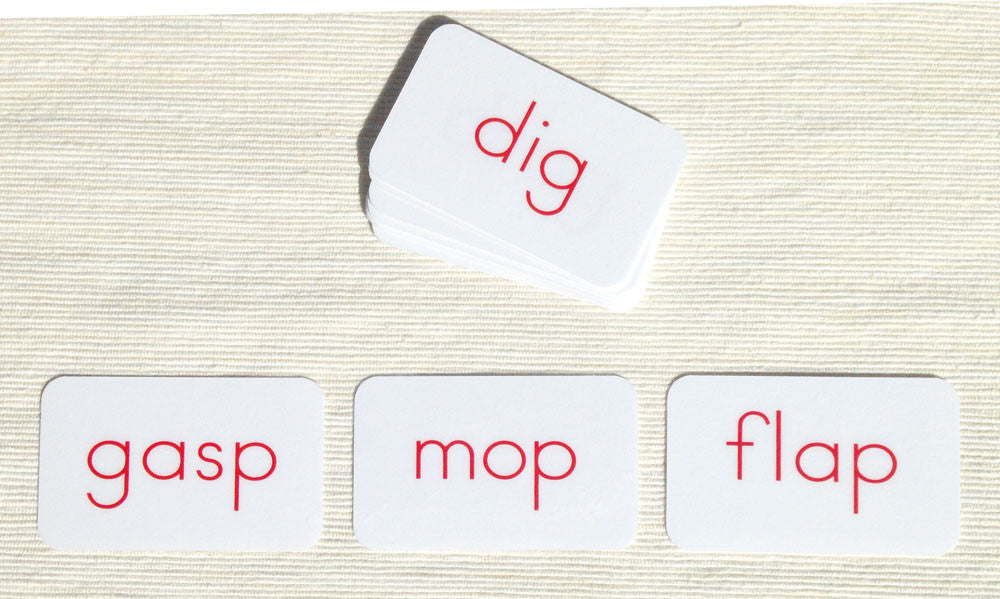 Phonetic Activity Cards by Maitri