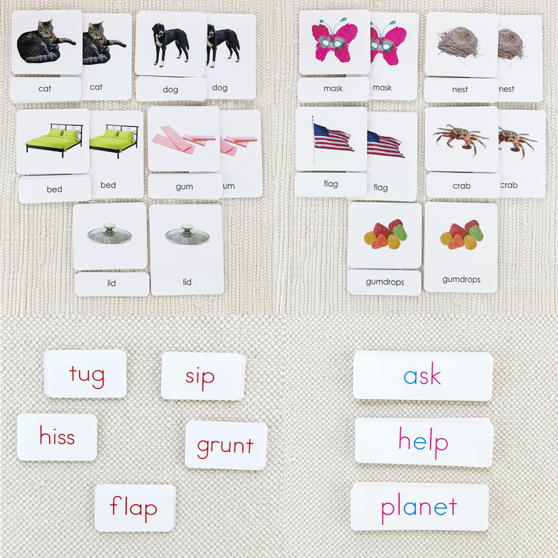 Phonetic Decoding Kit: PreK-2 by Maitri