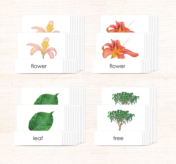 Botany 