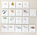 Parts of 3-Part Card Bundles by Maitri