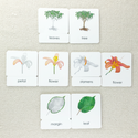 Parts of 3-Part Card Bundles by Maitri