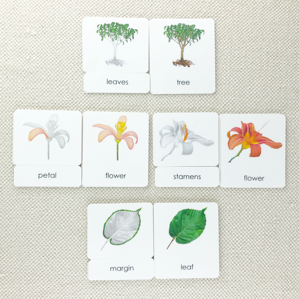 Parts of 3-Part Card Bundles by Maitri