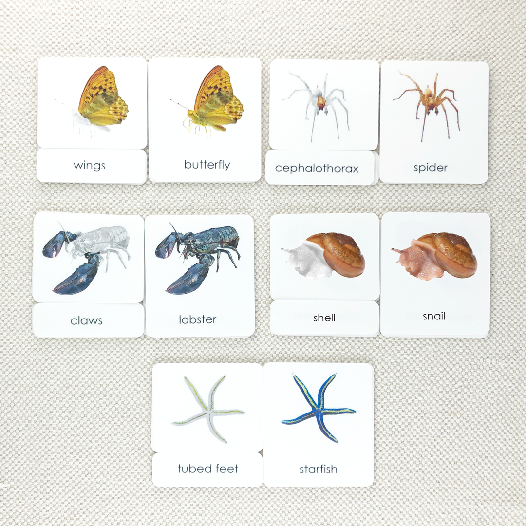 Parts of 3-Part Card Bundles by Maitri