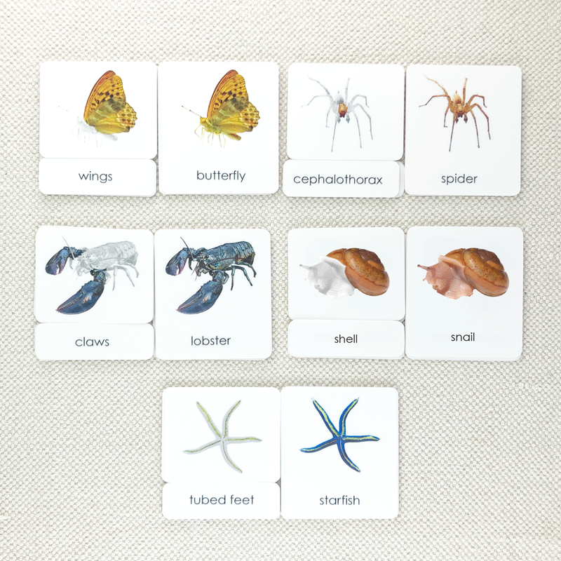 Parts of 3-Part Card Bundles by Maitri