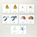 Parts of 3-Part Card Bundles by Maitri