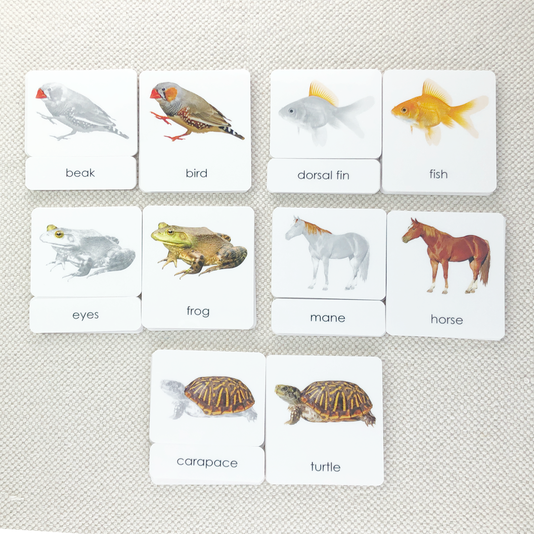 Parts of 3-Part Card Bundles by Maitri