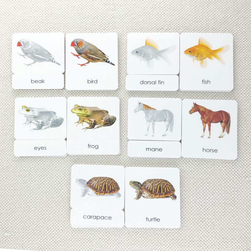 Parts of 3-Part Card Bundles by Maitri