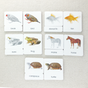 Parts of 3-Part Card Bundles by Maitri