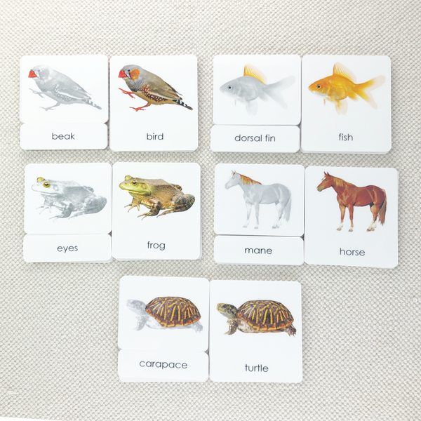 Parts of 3-Part Card Bundles by Maitri