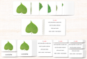Botany Build-a-Book Bundle by Maitri