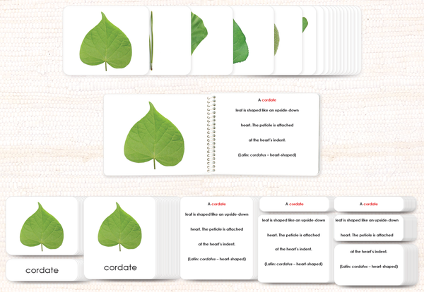 Botany Build-a-Book Bundle by Maitri