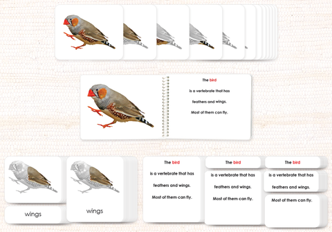 Vertebrates "Parts of" Book & Card Bundle by Maitri