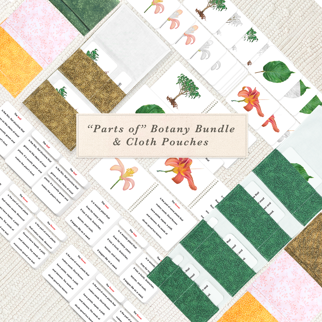 "Parts of" Botany Bundle by Maitri