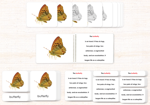 Invertebrates "Parts of" Book & Card Bundle by Maitri