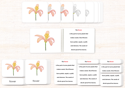 Botany Build-a-Book Bundle by Maitri