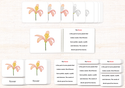 Botany Build-a-Book Bundle by Maitri